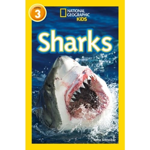 Sharks (häftad, eng)