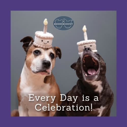 Sookie and Ivy Every Day Is a Celebration (inbunden, eng)