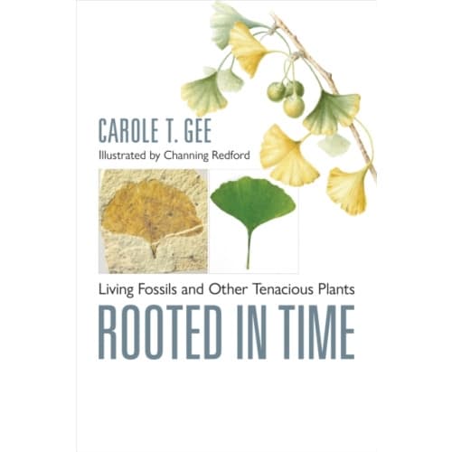 Rooted in Time (inbunden, eng)