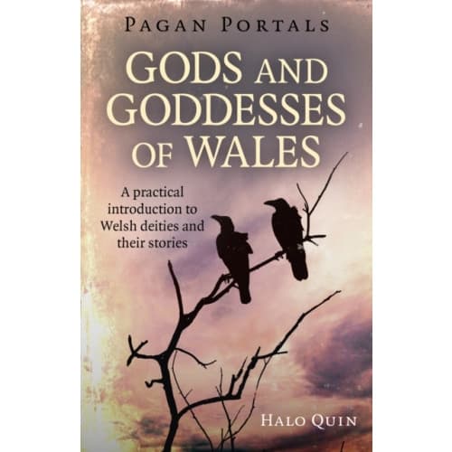 Pagan Portals - Gods and Goddesses of Wales (häftad, eng)