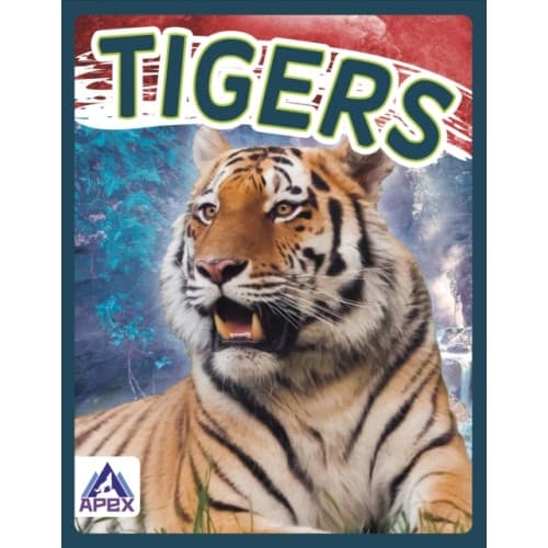 Wild Cats: Tigers (häftad, eng)