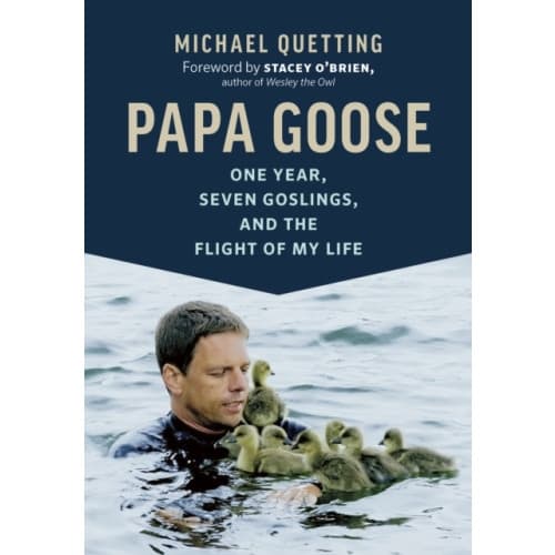Papa Goose (häftad, eng)