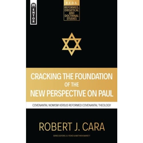 Cracking the Foundation of the New Perspective on Paul (häftad, eng)