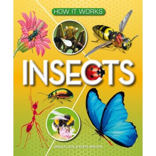 How It Works: Insects (inbunden, eng)