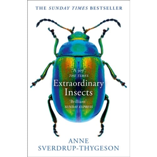 Extraordinary Insects (häftad, eng)