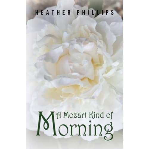 A Mozart Kind of Morning (häftad, eng)