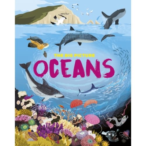 The Big Picture: Oceans (häftad, eng)