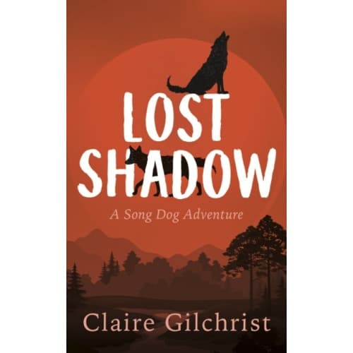Lost Shadow (häftad, eng)