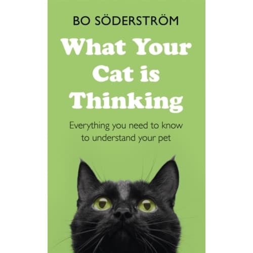 What Your Cat Is Thinking (häftad, eng)