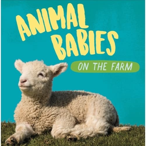 Animal Babies: On the Farm (häftad, eng)