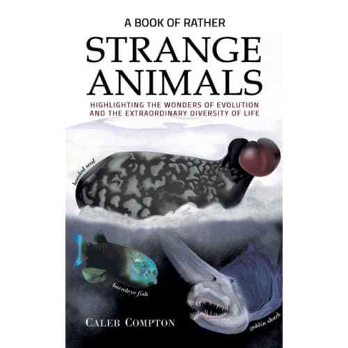 A Book of Rather Strange Animals (häftad, eng)