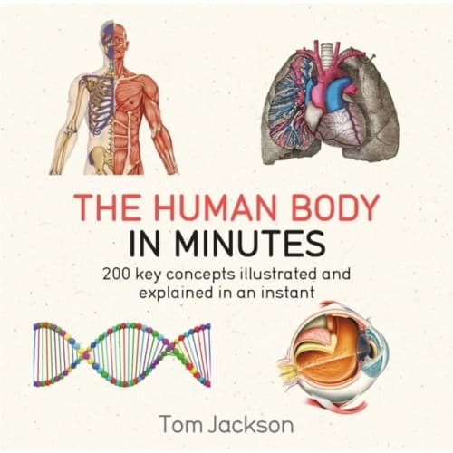 The Human Body in Minutes (häftad, eng)
