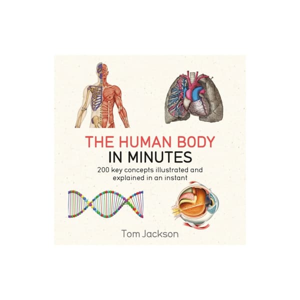The Human Body in Minutes (häftad, eng)