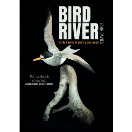 Bird River (häftad, eng)