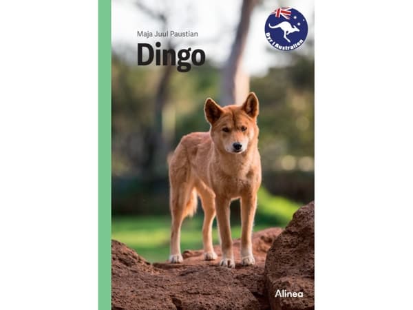 Dingo, Grøn Fagklub | Maja Juul Paustian