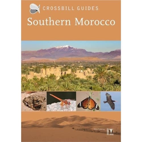 Southern Morocco (häftad, eng)