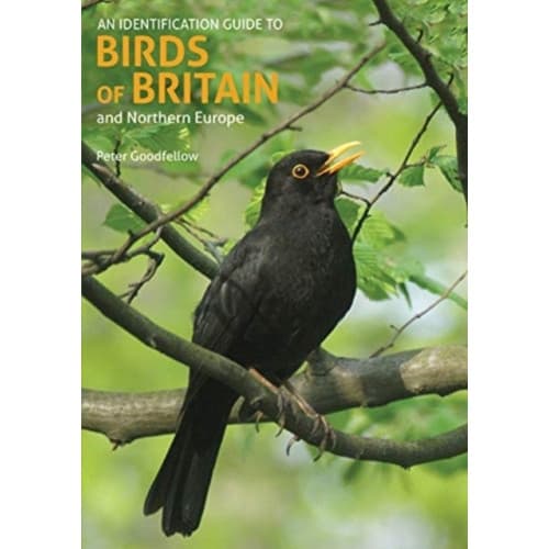 An Identification Guide to Birds of Britain and Northern Europe (2nd edition) (häftad, eng)
