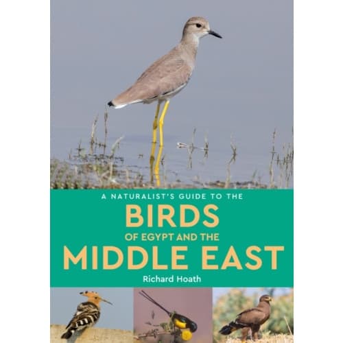 A Naturalist's Guide to the Birds of Egypt and the Middle East (häftad, eng)