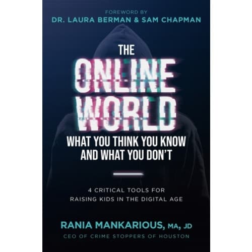 The Online World, What You Think You Know and What You Don't (häftad, eng)