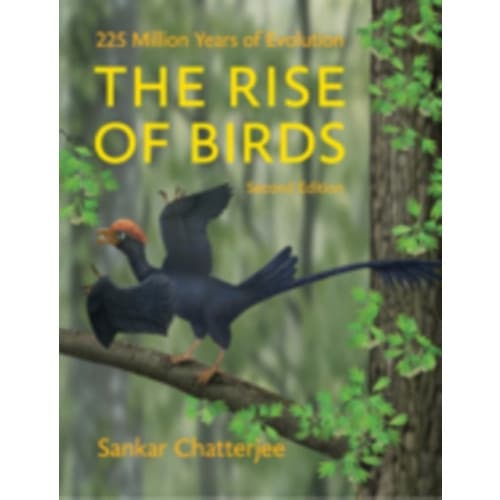 The Rise of Birds (inbunden, eng)