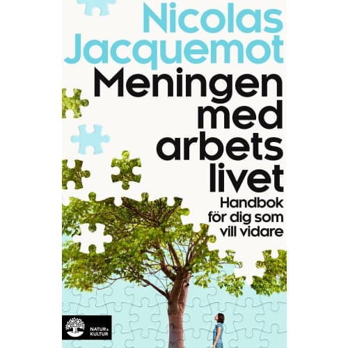 Meningen med arbetslivet : handbok för dig som vill vidare (häftad)