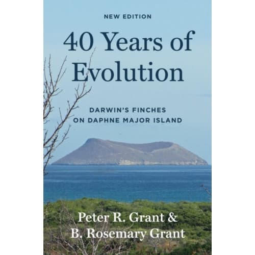 40 Years of Evolution (häftad, eng)