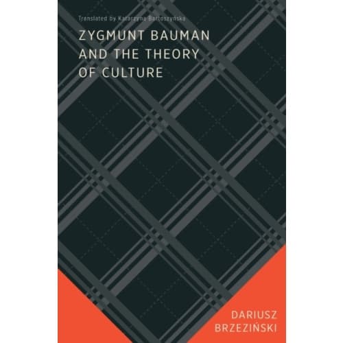 Zygmunt Bauman and the Theory of Culture (häftad, eng)