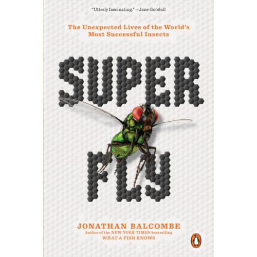 Super Fly (häftad, eng)