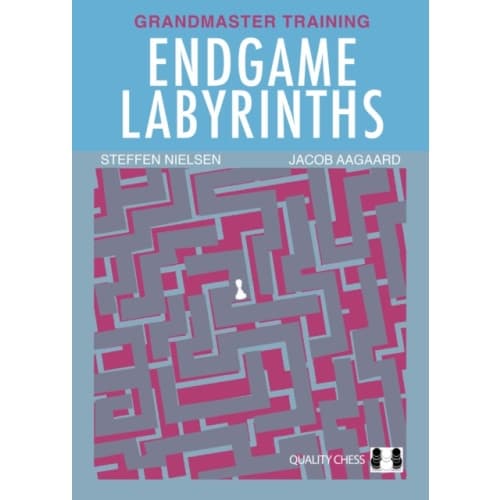 Endgame Labyrinths (häftad, eng)
