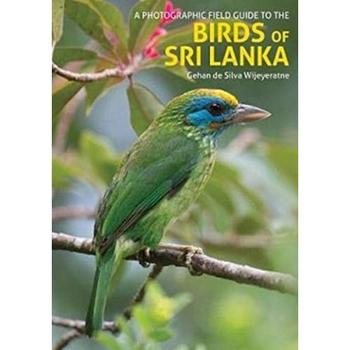 The Birds of Sri Lanka (häftad, eng)