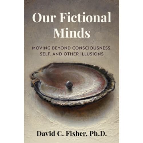 Our Fictional Minds (häftad, eng)