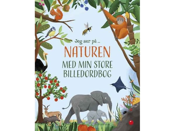 Jeg ser på: Naturen med min store billedordbog |