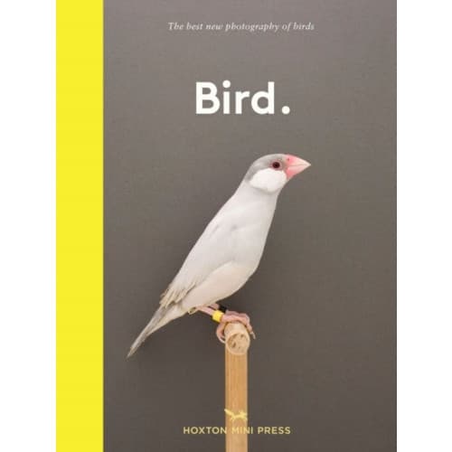 Bird. (inbunden, eng)