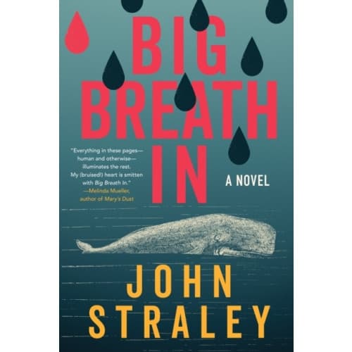 Big Breath In (inbunden, eng)