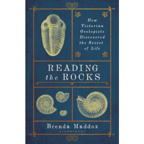 Reading the Rocks (häftad, eng)