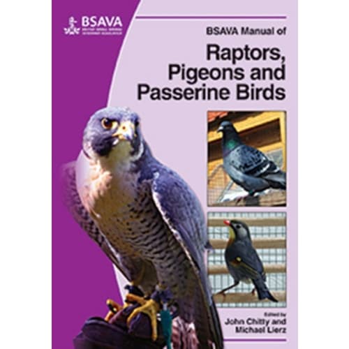 BSAVA Manual of Raptors, Pigeons and Passerine Birds (häftad, eng)