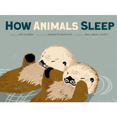 How Animals Sleep (inbunden, eng)