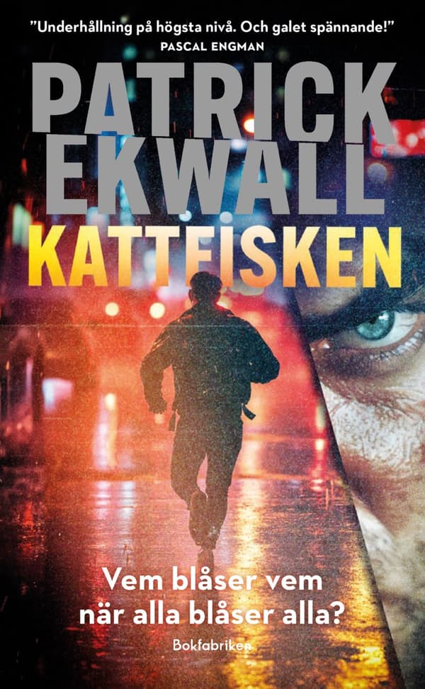 Kattfisken (Bok)