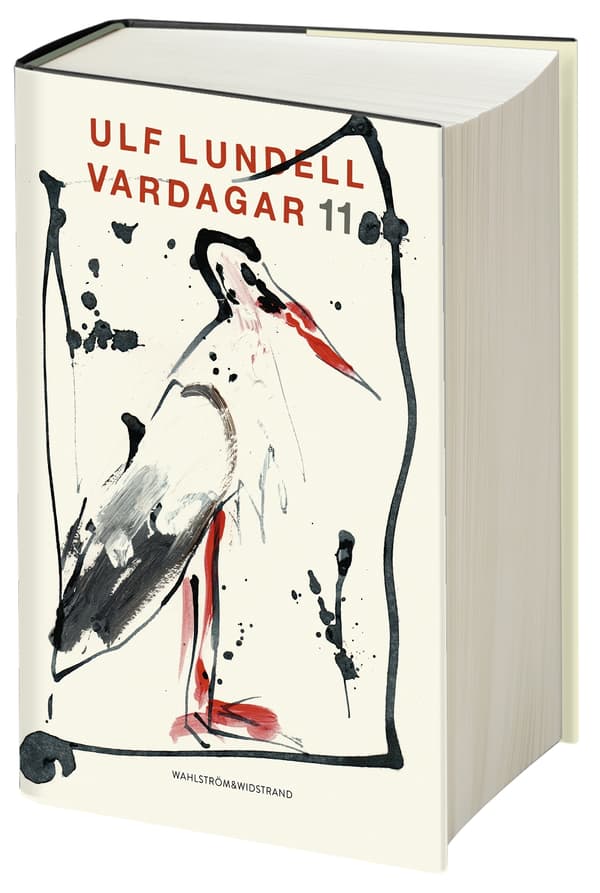 Vardagar 11 (Bok)