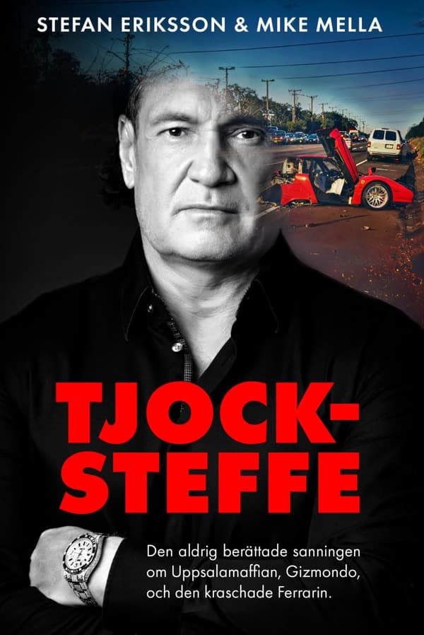 Tjock-steffe (Bok)