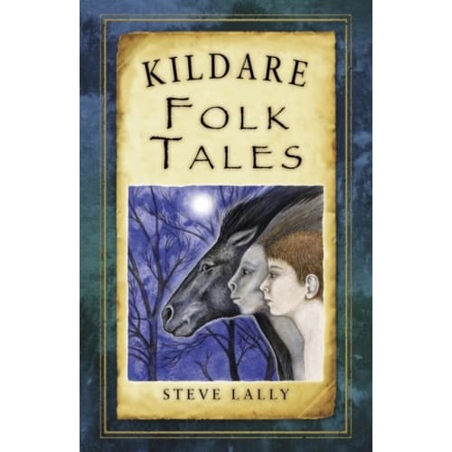 Kildare Folk Tales (häftad, eng)