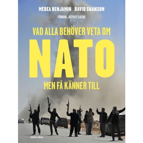 Vad alla behöver veta om Nato men få känner till (bok, danskt band)