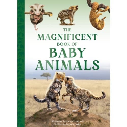 The Magnificent Book of Baby Animals (inbunden, eng)