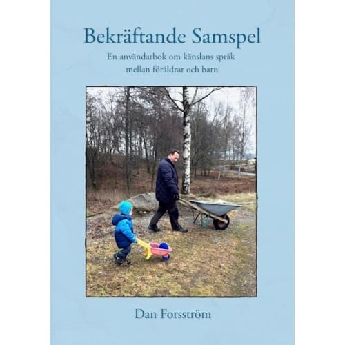 Bekräftande Samspel (häftad)