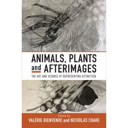 Animals, Plants and Afterimages (häftad, eng)