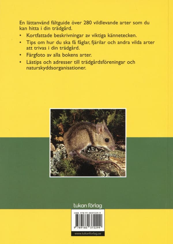 Trädgårdens Växter & Djur I Sverige & Nordeuropa (Bok)