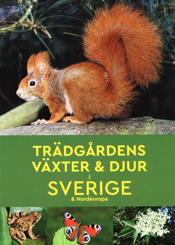 Trädgårdens Växter & Djur I Sverige & Nordeuropa (Bok)