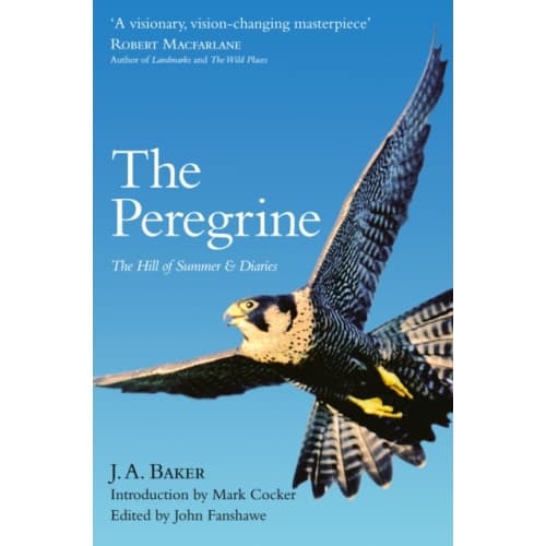 The Peregrine (häftad, eng)
