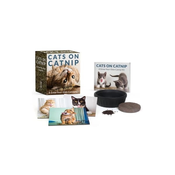 Cats on Catnip: A Grow-Your-Own Catnip Kit