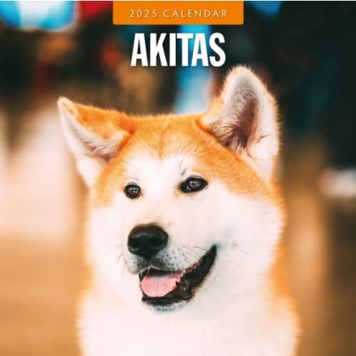 Akitas 2025 Square Wall Calendar (häftad, eng)